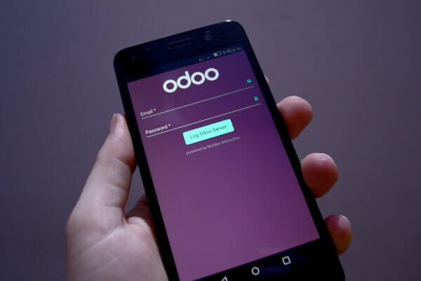 Moldeo Interactive - Intégration Odoo Mobile